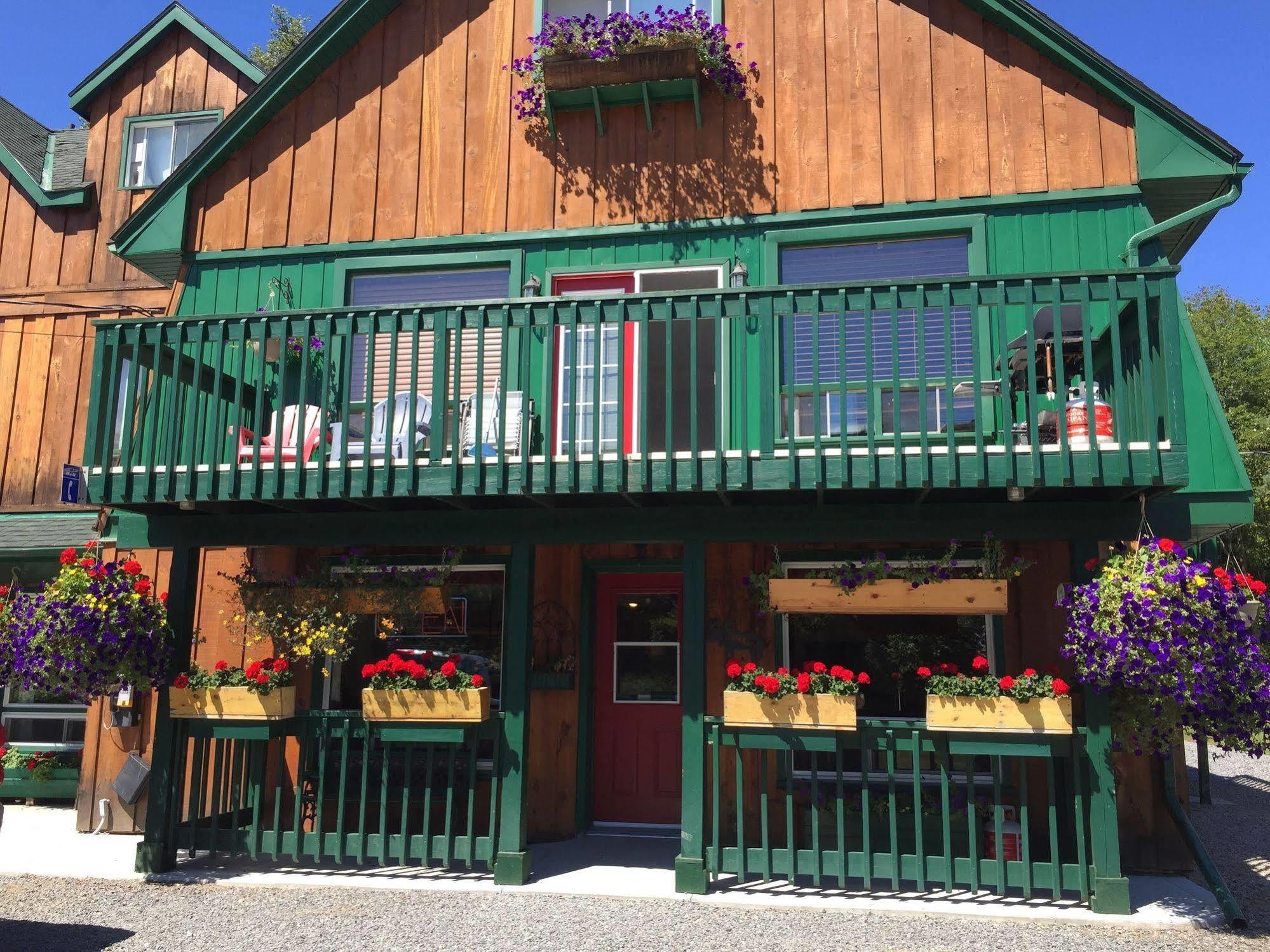 Dwight Village Motel Экстерьер фото